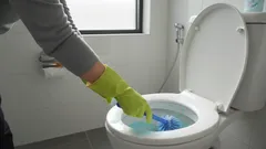 Deite isto na sanita e nunca mais terá esforço ao limpar